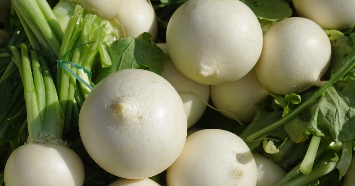 Discover the Amazing Benefits of White Radish for Health