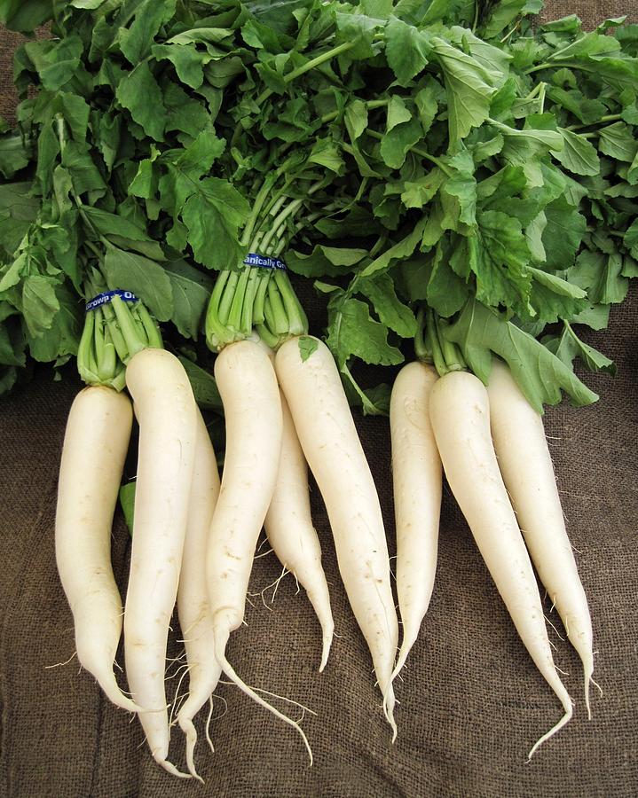 Radish Health Benefits During Pregnancy - A Nutrient Powerhouse