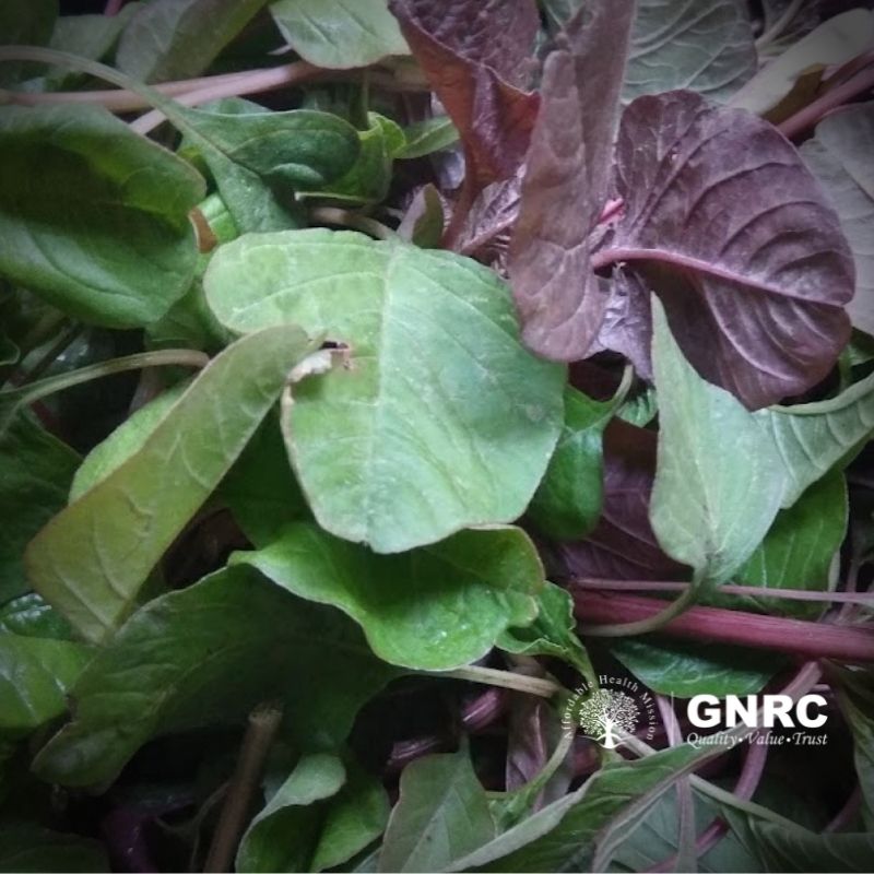Amaranth Leaves Side Effects - What You Need to Know Before Eating