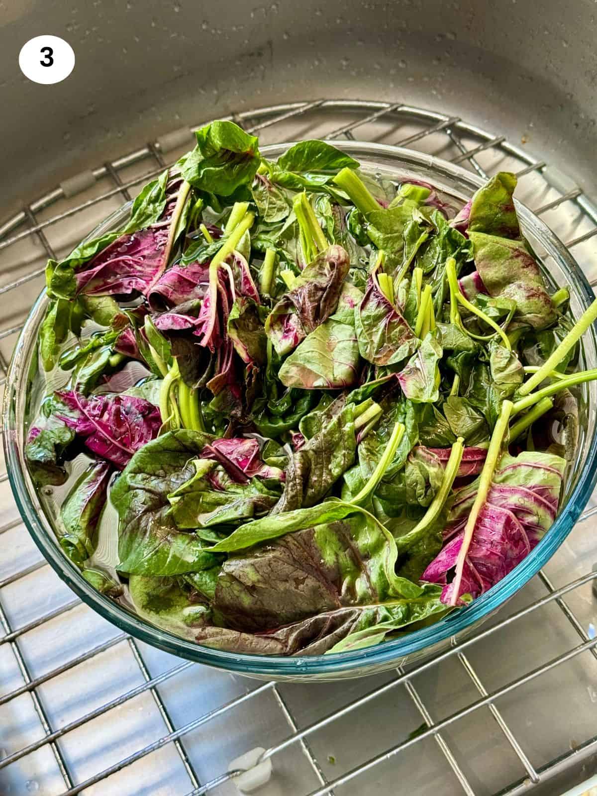 Discover Delicious and Nutritious Amaranth Leaves Recipes - A Culinary Adventure