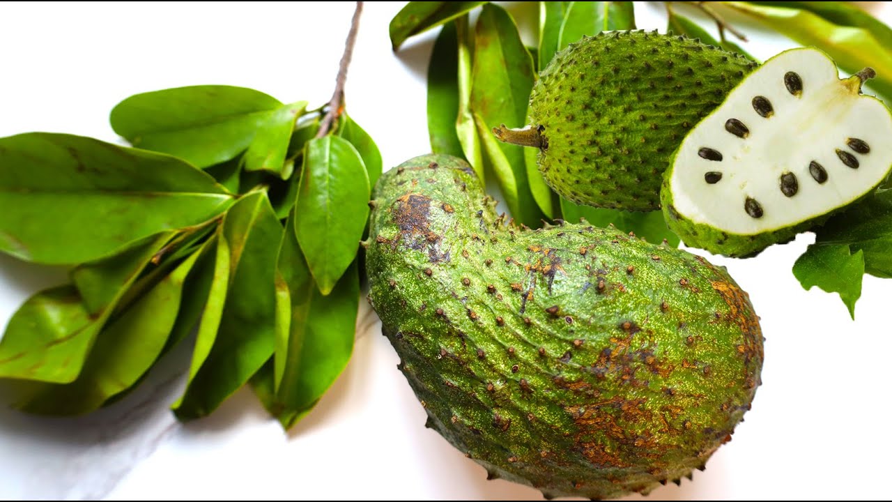 Discover the Incredible Soursop Benefits Sexually – Unlocking Nature’s Secret to Enhanced Pleasure