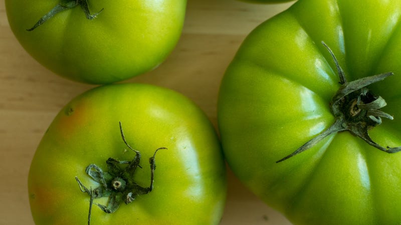 Exploring the Culinary World - Tomatillo vs Green Tomato Unveiled